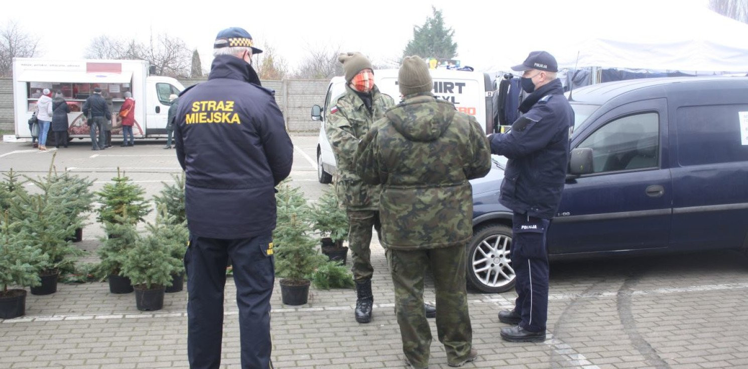 Mogilno - Policjanci kontrolują punkty sprzedaży choinek