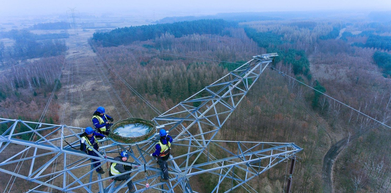 Kraj - PSE i Lasy Państwowe ponownie zadbają o bezpieczeństwo rybołowów