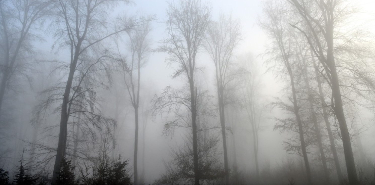 Kraj - IMGW: gęste mgły w ośmiu województwach