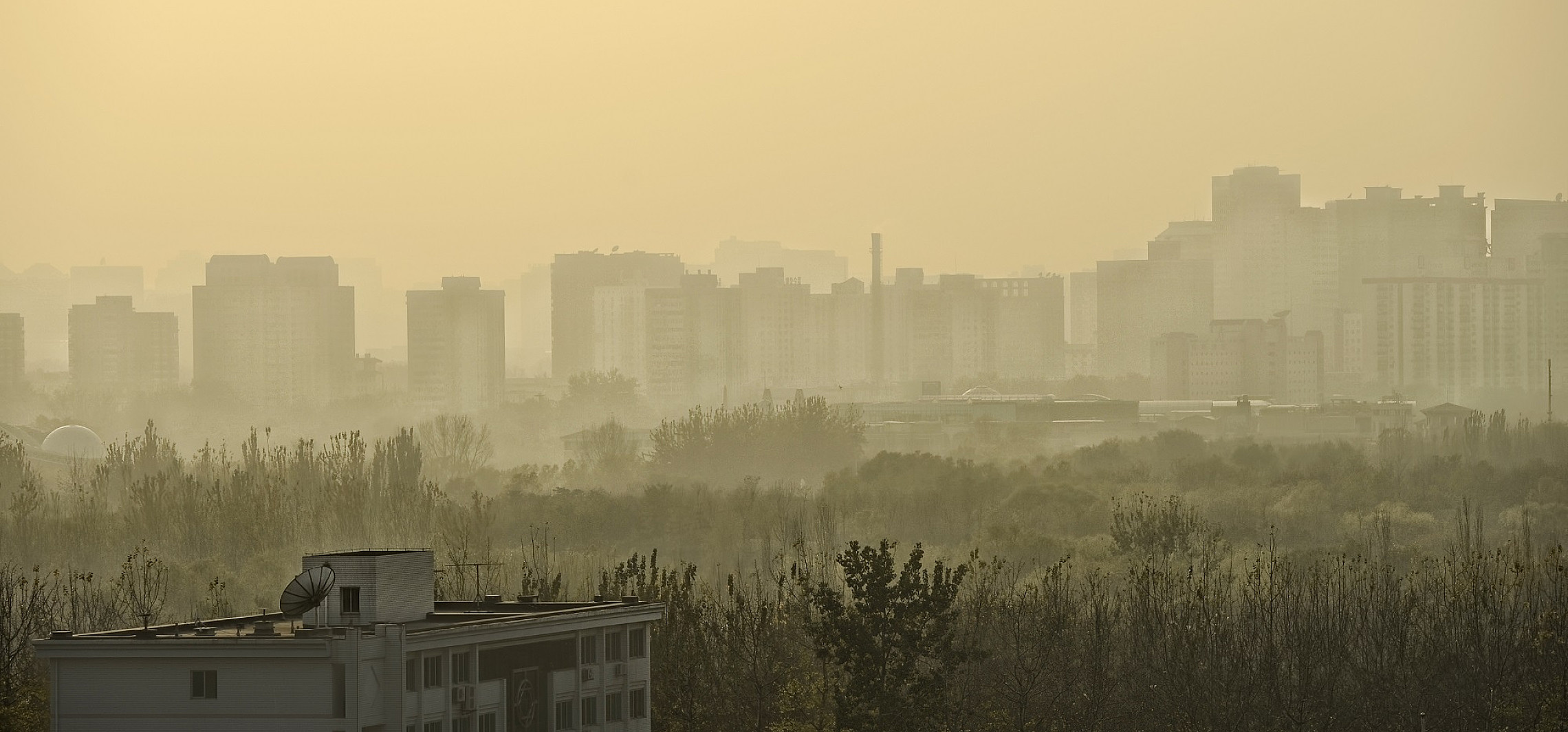 Region - Smog - jak skutecznie się przed nim chronić?