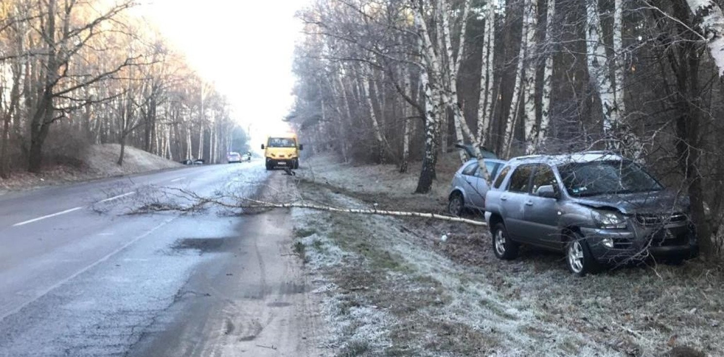 Kujawsko-Pomorskie - Nietrzeźwi wciąż poważnym zagrożeniem na drogach