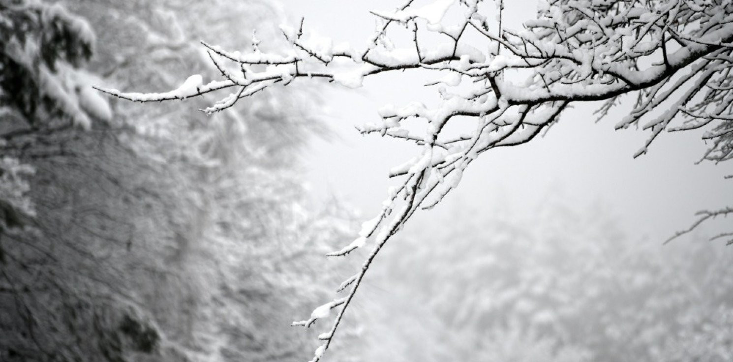 Kraj - Synoptyk z IMGW: będzie trochę chłodniej; temperatury około zera i opady śniegu